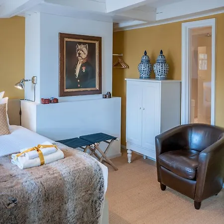 The Vanguard B&B